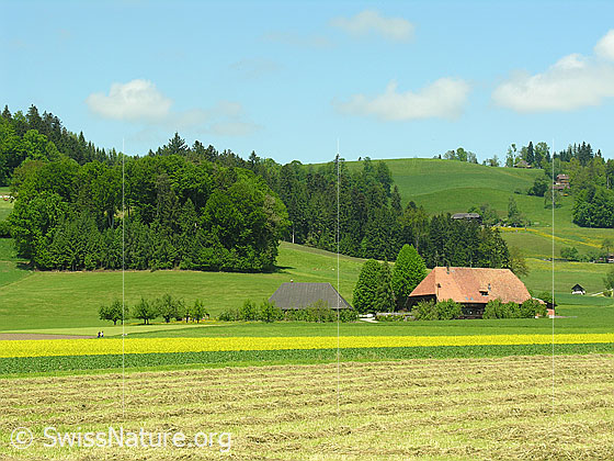 Foto: Flache Felder mit Heu, blühendem Raps, Kartoffelacker und Grasflächen. Dahinter ein Bauernhof mit Obstbäumen in Hügellandschaft mit kleinen Wäldern.