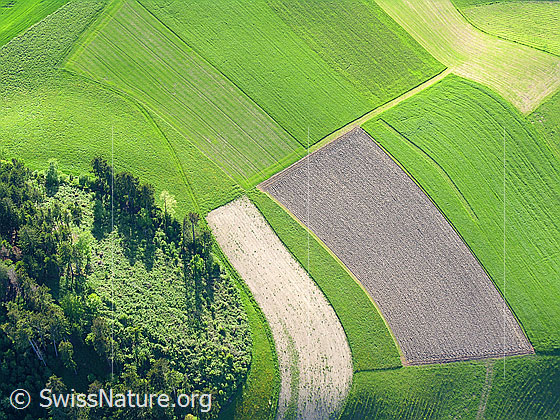 Foto: Luftaufnahme von Kulturland im Emmental.