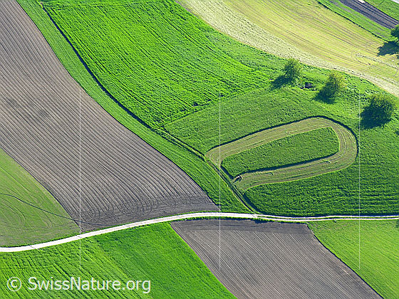 Foto: Luftaufnahme Landwirtschaft im Emmental. Die Anbauflächen weisen interessante Formen auf.