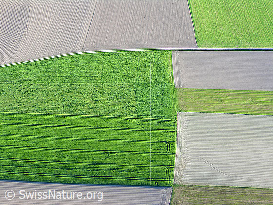 Foto: Luftaufnahme Ackerbau. Aneinander grenzende Äcker und Felder.
