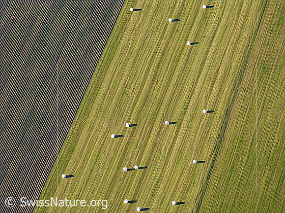 Foto: Luftaufnahme abgeerntetes Feld mit Siloballen.