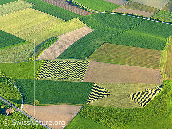 Foto: Luftaufnahme Felder und Ackerbauflächen in verschiedenen Formen und Farben.