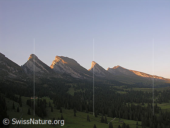Foto: Churfirsten im Morgenlicht. Über dem Weide- und Waldgebiet des Toggenburgs erheben sich die markanten Gipfel Zuestoll, Brisi, Frümsel und Selun der Churfirsten.