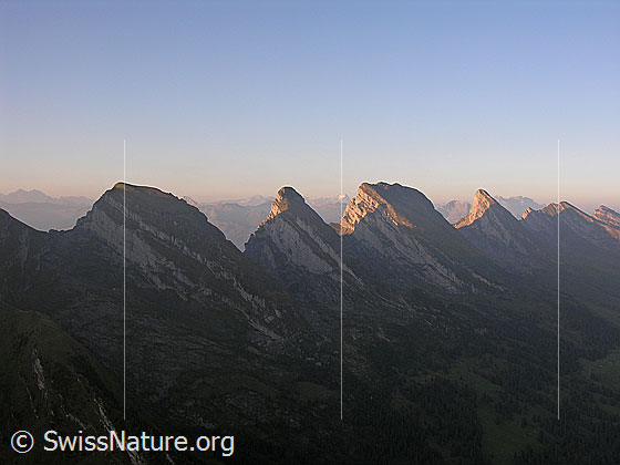 Foto: Churfirsten im Morgenlicht. Zu sehen sind Schibenstoll, Zuestoll, Brisi, Frümsel und Selun.