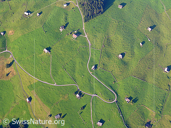 Foto: Tiefblick auf die Streusiedlung der Alphütten und eine Alpstrasse im Toggenburg.