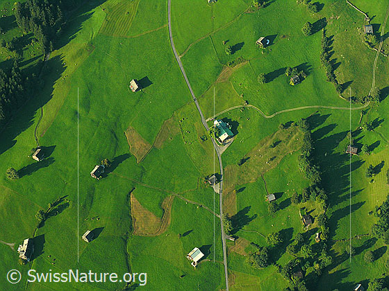 Foto: Luftaufnahme Toggenburg. Tiefblick auf die Streusiedlung der Alphütten und auf eine Alpstrasse.