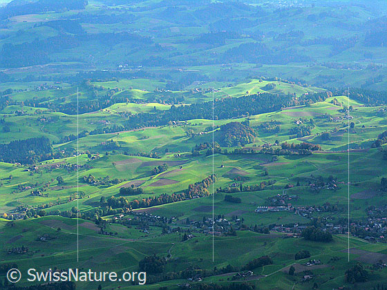 Foto: Luftaufnahme Hügellanschaft im Toggenburg mit Licht und Schatten.