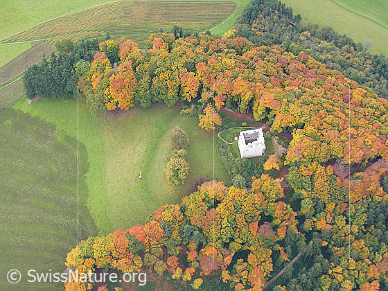 Foto: Tiefblick auf die Herbstlandschaft mit der Ruine Kastelen in Alberswil. Das Laub der Bäume ist herbstlich gefärbt.
