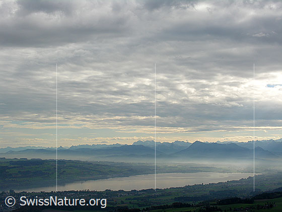 Foto: Luftaufnahme Berge und See mit Wolkendecke. Feine Nebelschicht vor der Rigi und Bergkette im Hintergrund.