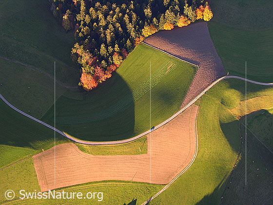 Foto: Luftaufnahme Herbstfarben im Emmental. Wald mit herbstlich gefärbten Bäumen am Waldrand, Äcker mit interessanten Formen, Grasflächen getrennt durch Fahrwege sind aus der Vogelperspektive zu sehen. Auf die Emmentaler Landschaft fällt Licht und Schatten.