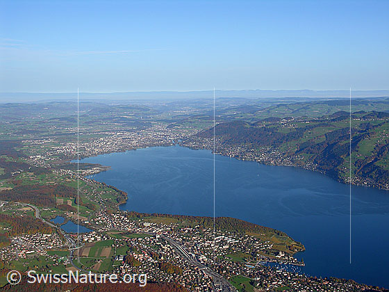 Foto: Luftaufnahme Thunersee mit Tiefblick auf Spiez umgeben von Wäldern in den Herbstfarben. Im Hintergrund ist die Stadt Thun zu sehen.