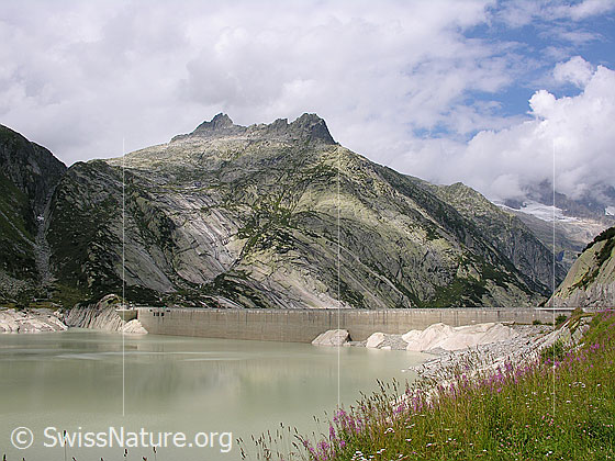 Foto: Blick über den See und die Staumauer zum Alplistock.