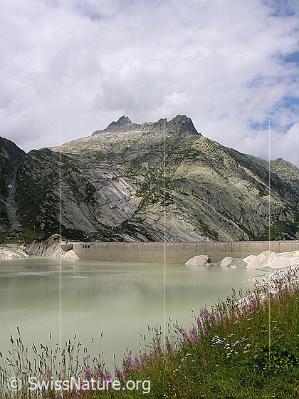 Foto: Blick über den See und die Staumauer zum Alplistock.