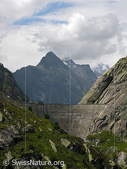 Foto: Blick über die Staumauer Spittellamm (Grimselsee) zum Zinggenstock.