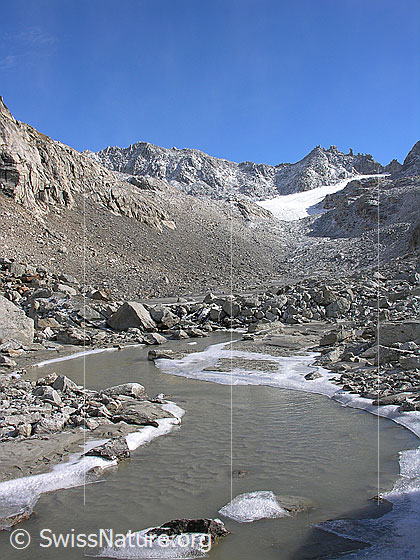 Foto: Blick über Schwemmebene mit viel Geröll und gefrorenem Ufer eines ruhigen Bergbachs. Im Hintergrund: Tälligletscher und Hohsandjoch.