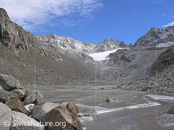 Foto: Blick über Felsblöcke, Schwemmebene und Geröllhalden zum Tälligletscher und Hohsandjoch.