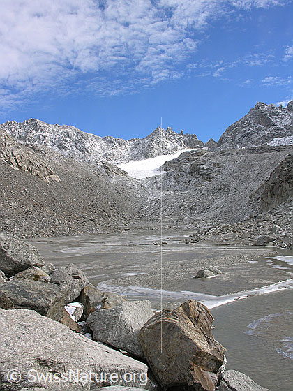 Foto: Blick über Felsblöcke, Schwemmebene und Geröllhalden zum Tälligletscher und Hohsandjoch.
