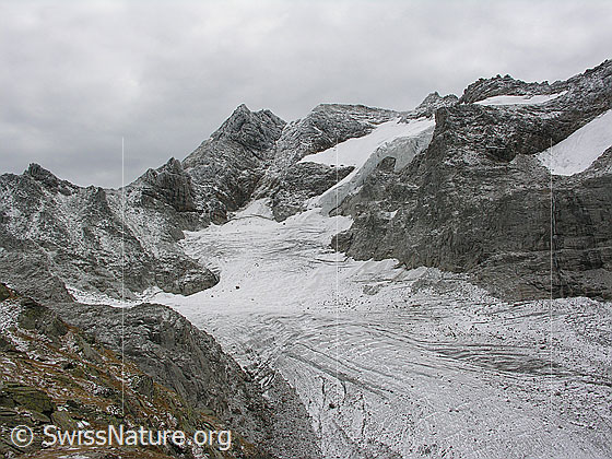 Foto: Blick über den Tälligletscher zum leicht verschneiten Ofenhorn.