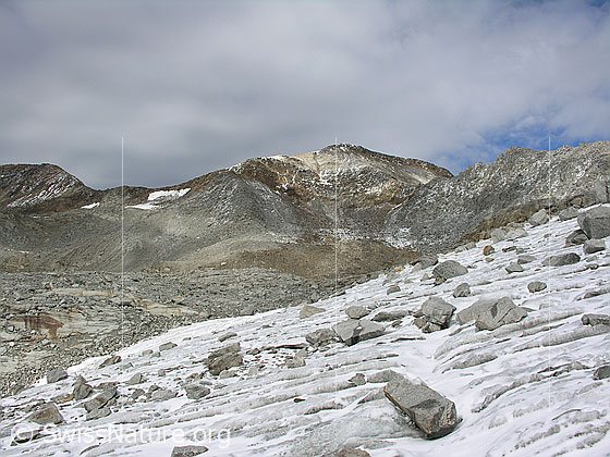 Foto: Blick über den mit Felsblöcken übersäten Tälligletscher zum Hohsandhorn.
