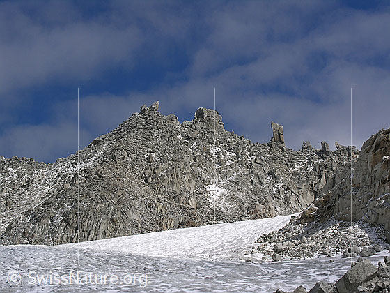 Foto: Blick über den Tälligletscher zu den Felstürmen beim Hohsandjoch.