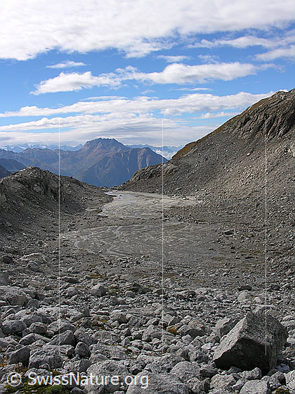 Foto: Blick über Geröll und die Schwemmebene im Tälli zum Bättlihorn und Breithorn.
