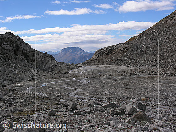 Foto: Blick über Geröll und die Schwemmebene im Tälli zum Bättlihorn.