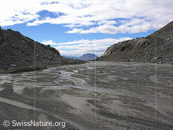 Foto: Blick über die Schwemmebene im Tälli zum Bättlihorn.