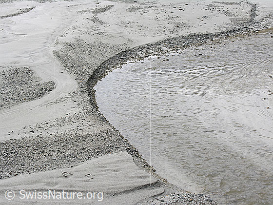 Foto: Wasserlauf mit natürlicher Kurve und Sandbänken in der Schwemmebene des Tälli.