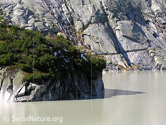 Foto: Am Räterichsbodensee (Stausee)