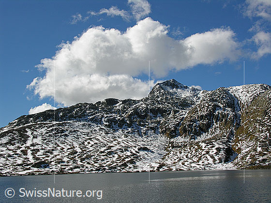 Foto: Totesee und Sidelhorn (Grimselgebiet) mit Wolken in blauem Himmel.