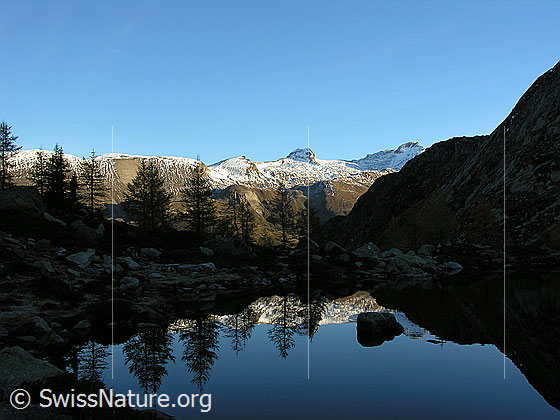 Foto: Spiegelung im Mässersee am frühen Morgen. Im Hintergrund das Holzjihorn.