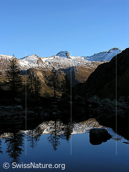 Foto: Spiegelung im Mässersee am frühen Morgen. Im Hintergrund das Holzjihorn.