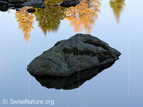 Foto: Spiegelung eines Felsblocks und herbstlich gefärbten Lärchen im Mässersee.