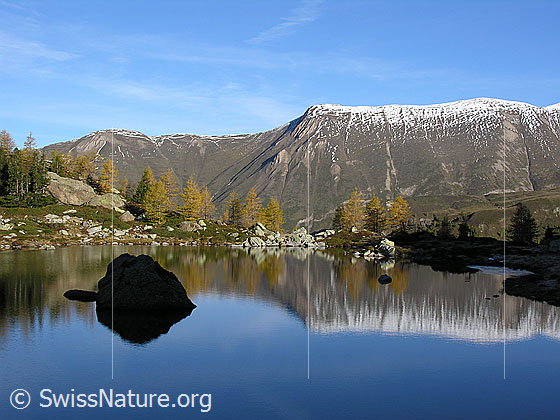 Foto: Spiegelung der herbstlich gefärbten Lärchen und eines Felsblocks im Mässersee. Im Hintergrund: Kleines Fülhorn, Schweifegrat und grosses Fülhorn.