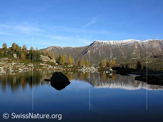 Foto: Spiegelung der herbstlich gefärbten Lärchen und eines Felsblocks im Mässersee. Im Hintergrund: Kleines Fülhorn, Schweifegrat und grosses Fülhorn.