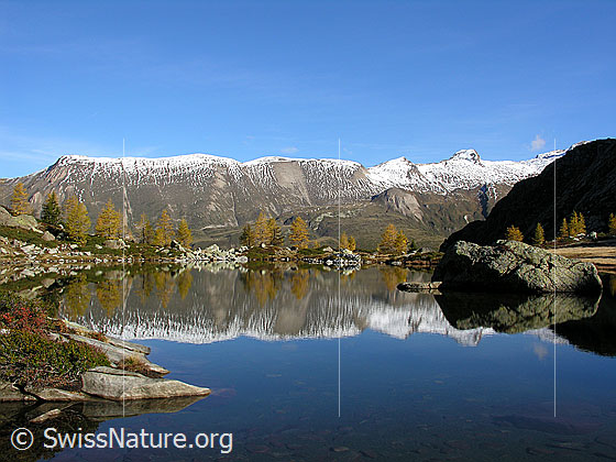 Foto: Spiegelung der herbstlichen Landschaft im Mässersee. Im Hintergrund: Grosses Fülhorn und Holzjihorn.