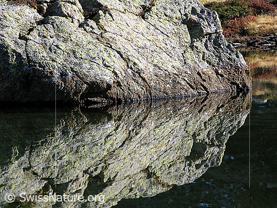 Foto: Spiegelung eines Felsblocks im Mässersee.