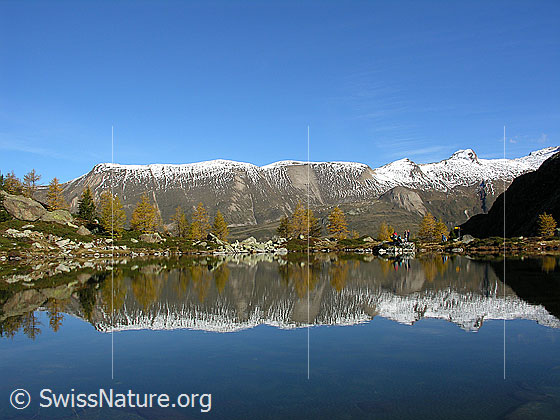 Foto: Spiegelung der herbstlichen Landschaft mit gelben Lärchen im Mässersee. Im Hintergrund: Grosses Fülhorn und Holzjihorn.