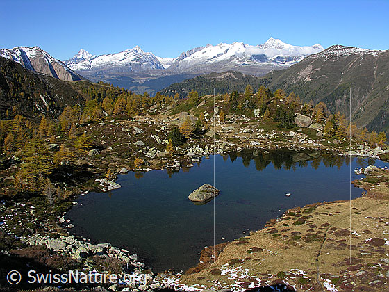 Foto: Blick auf den Mässersee mit herbstllicher Umgebung und den Berner Alpen im Hintergrund.
