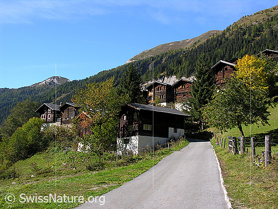 Foto: Bergdorf Imfeld, Binntal im Herbst.