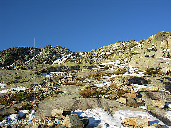 Foto: Im Aufstieg über Geröll und Felsplatten oberhalb Grimselpass Richtung Sidelhorn.