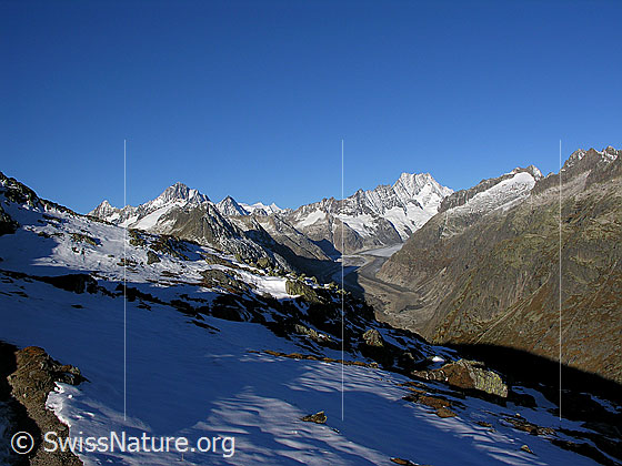 Foto: Erstes Schneefeld im Aufstieg zum Sidelhorn. Im Hintergrund sind Oberaarhorn, Finsteraarhorn, Agassizhorn, Fiescherhörner, Unteraargletscher, Lauteraarhorn, Schreckhorn und Hienderstock zu sehen.