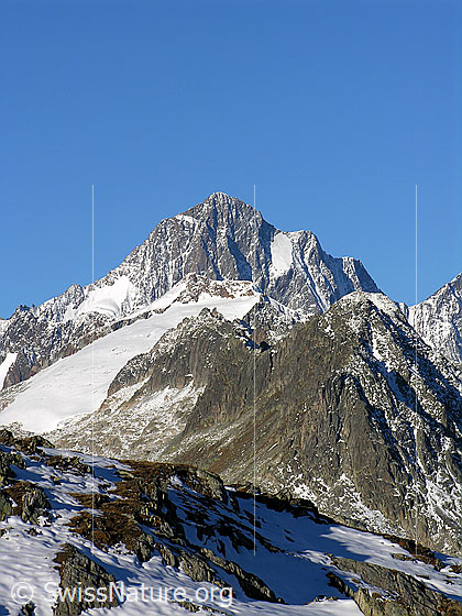 Foto: Im Aufstieg zum Sidelhorn. Blick zum Finsteraarhorn, Scheuchzerhorn, Hinterer Tierberg, Vorderer Tierberg, Hinterer Zinggenstock und Vorderer Zinggenstock.