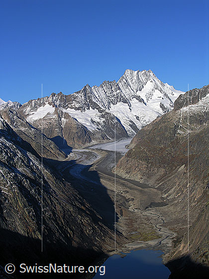 Foto: Im Aufstieg zum Sidelhorn. Blick auf das westliche Ende des Grimselsees mit Schwemmebene (Gletschervorfeld), Unteraargletscher mit markanter Mittelmoräne und Lauteraargletscher. Im Hintergrund: Hugihorn, Klein Lauteraarhorn, Lauteraarhorn, Schreckhorn, Nässihorn, Rothoren.