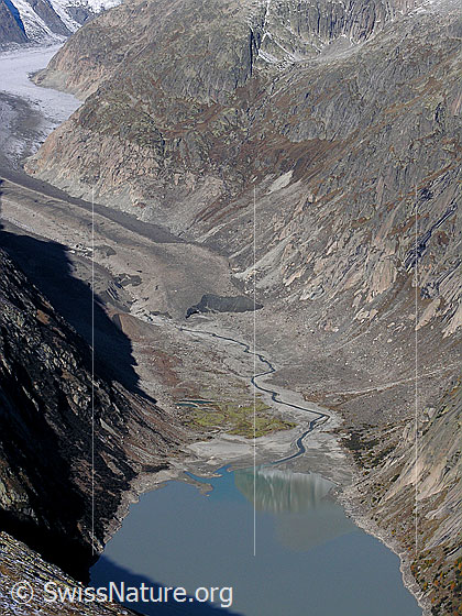 Foto: Tiefblick auf das Gletschervorfeld zwischen Grimselsee und Unteraargletscher.