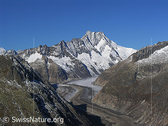 Foto: Blick vom Sidelhorn auf den Unteraargletscher mit markanter Mittelmoräne, Lauteraargletscher, Hugihorn, Klein Lauteraarhorn, Lauteraarhorn, Schreckhorn, Nässihorn und Rothoren.
