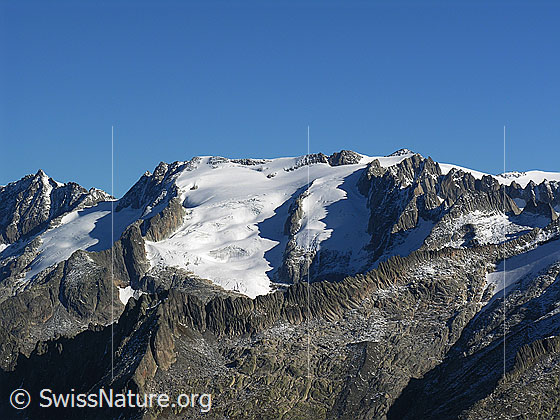 Foto: Blick vom Sidelhorn zum Diechterhorn, Diechterlimi, Diechtergletscher, Tieralplistock und Alpligletscher.