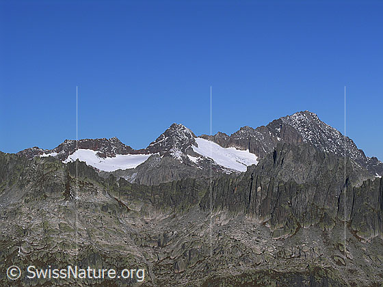 Foto: Blick vom Sidelhorn zum Golegghorn, Steinlauihorn, Ärlengletscher und Ritzlihorn. Im Vordergrund der Brünberg.