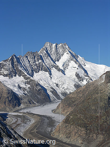 Foto: Blick vom Sidelhorn auf den Unteraargletscher mit markanter Mittelmoräne, Lauteraargletscher, Hugihorn, Klein Lauteraarhorn, Lauteraarhorn und Schreckhorn.