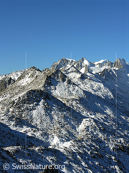 Foto: Blick vom Sidelhorn zum Gross Sidelhorn und Löffelhorn. Im Hintergrund Vorder Galmihorn, Hinteres Galmihorn, Gross Wannenhorn und Oberaar-Rothorn.